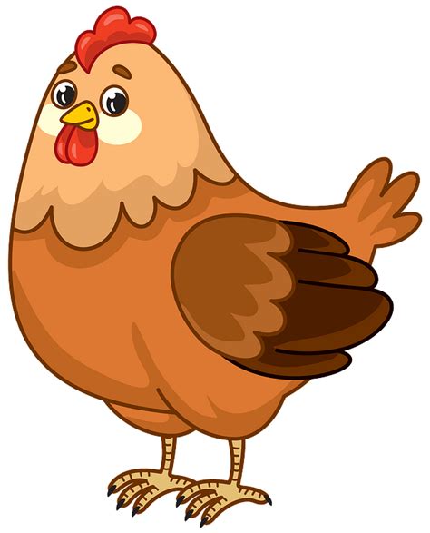 cute chickens pictures|chicken images no background.